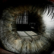 Document thumbnail